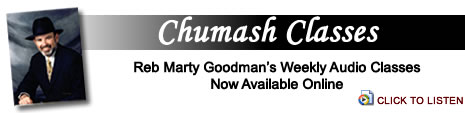 Marty Goodman Audio Classes.jpg